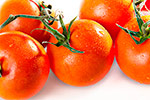 productfoto tomaat